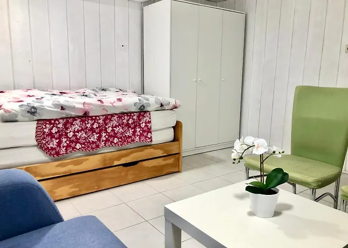 Bambus Daire Murrhardt